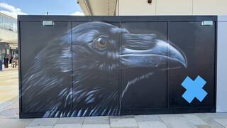 Raven by JXC — Harlow Town, Market Square