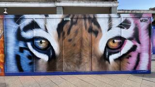 Tiger Man by Gnasher — Harlow Town, Market Square